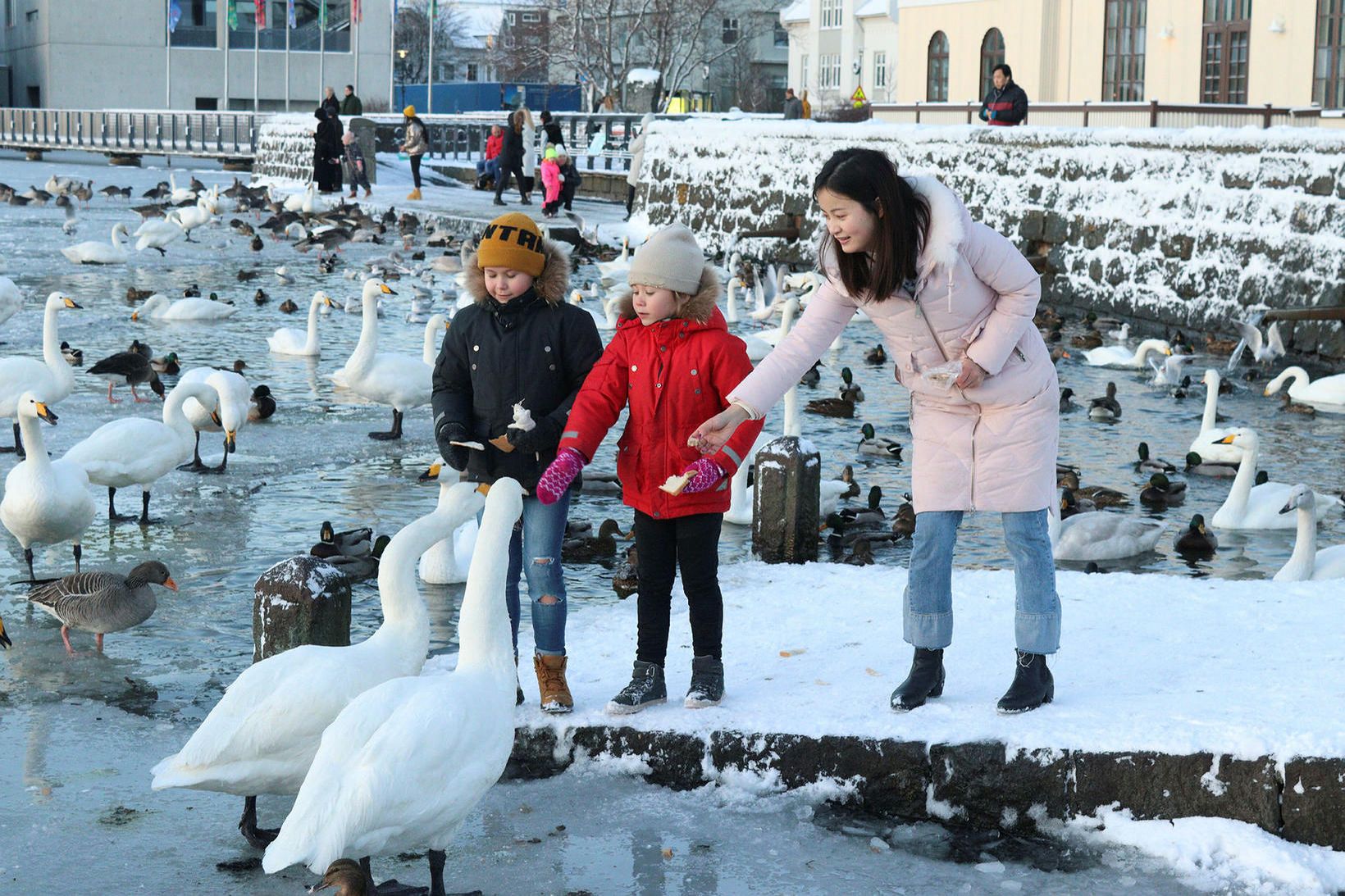 Kaldur en fallegur dagur.