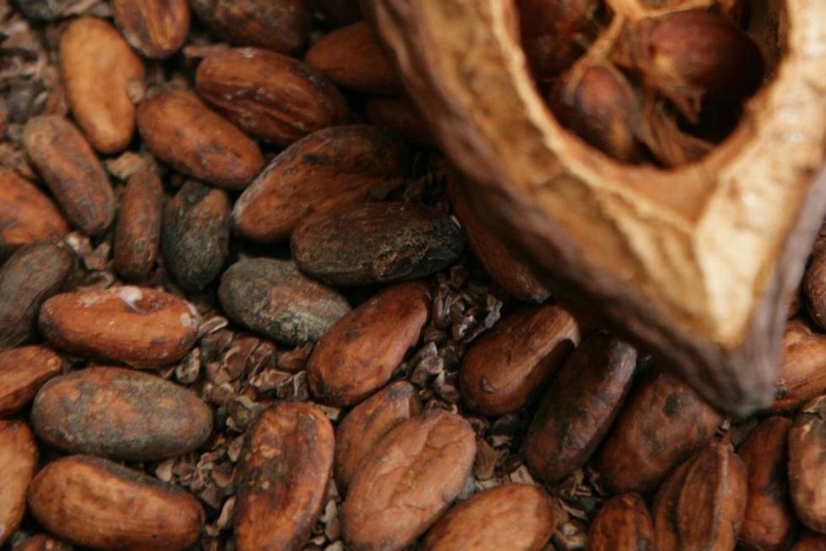 Kakóverð hefur lækkað eftir þó nokkrar hækkanir.