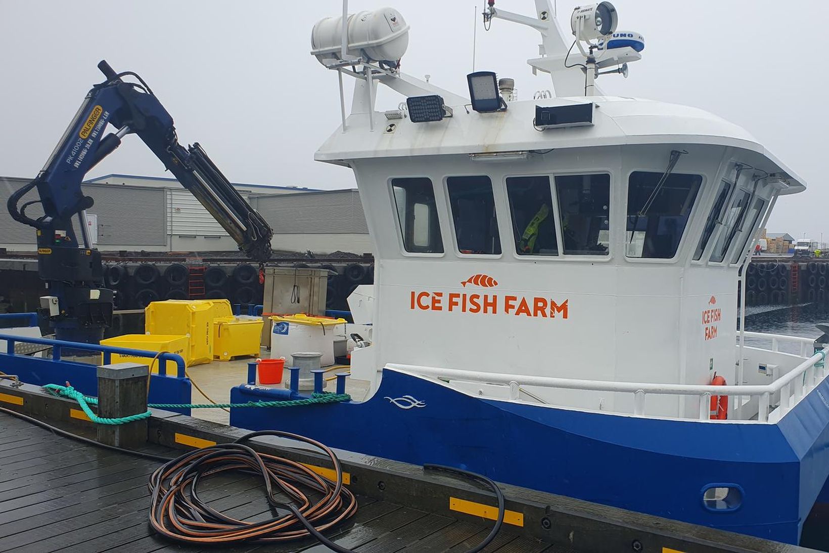 Lang stærsta fiskeldisfyrirtækið á Austfjörðum, Ice Fish Farm, stenfir á …