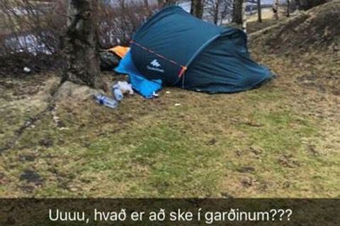 A snapchat image of the tent pitched up next to the bird feeder in the garden in Árbær, Reykjavik.