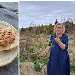 Ilmandi Móbergsskonsur með eplum og kanil