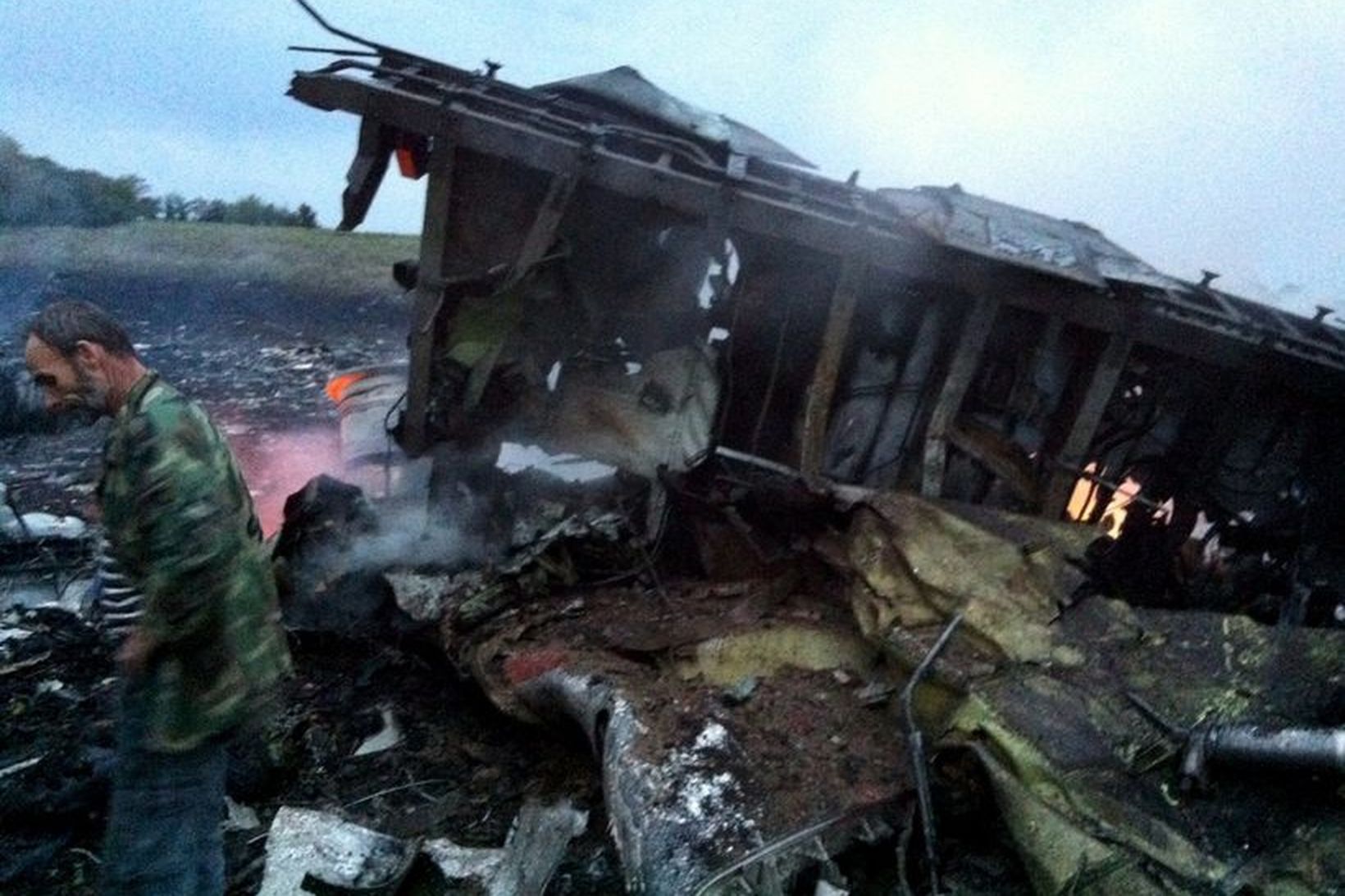 Maður stendur við flak vélarinnar á slysstað í dag. 295 …