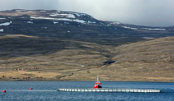Fiskeldisfyrirtækin fá undanþágu