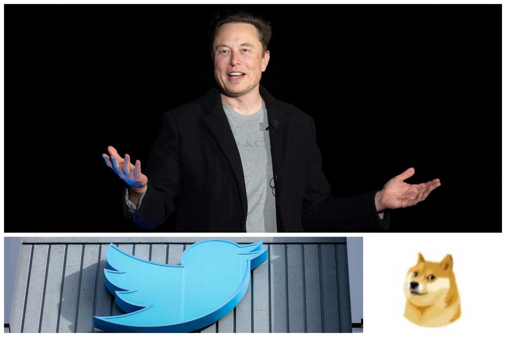 Elon Musk, eigandi Twitter, tilkynnti í gær um breytinguna með …