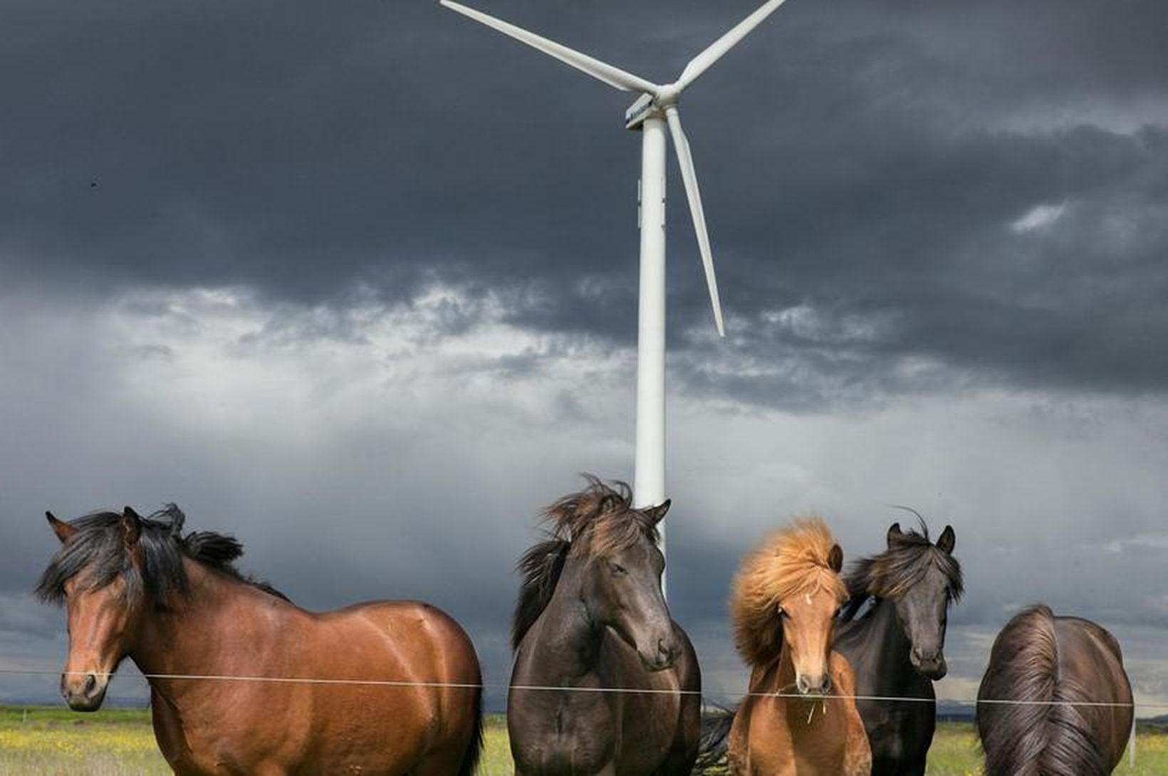 3.300 MW í vinnslu fyrir vindorkuna