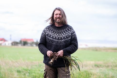 Hörður Bender has been growing garlic for two years but these days he is harvesting for the second time.