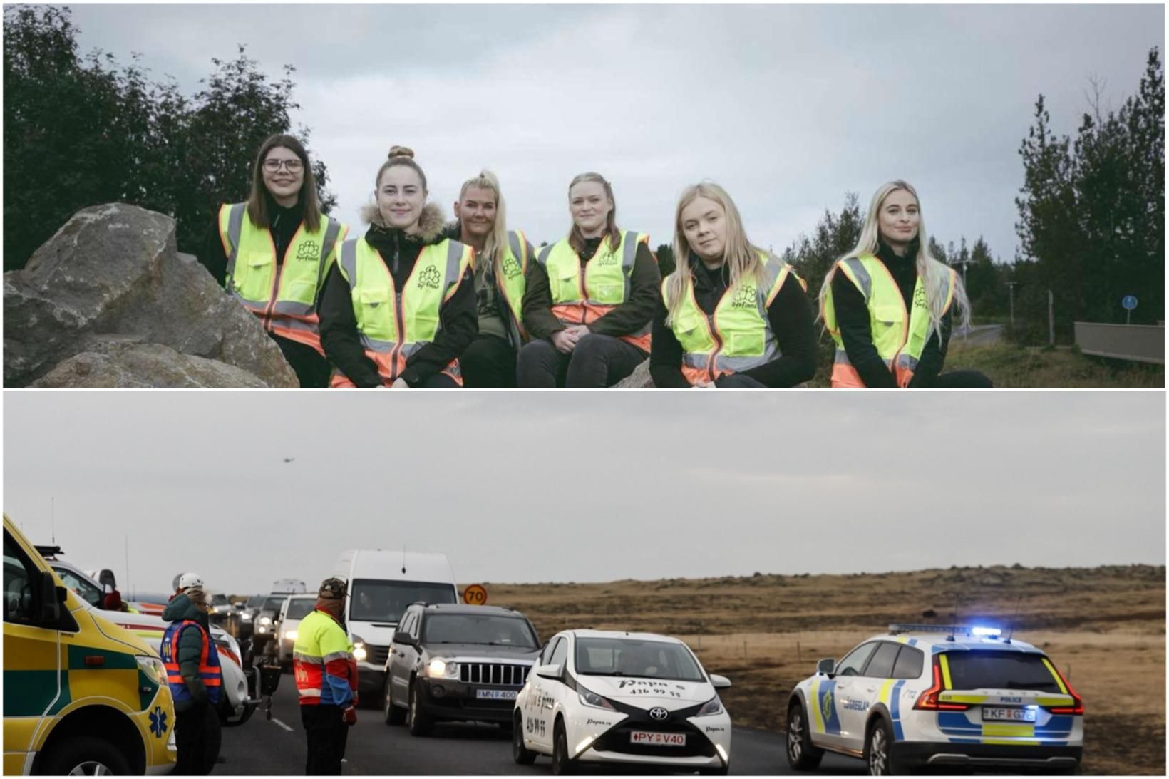 Dýrfinna eru félagasamtök sem hjálpa týndum gæludýrum og eigendum þeirra.