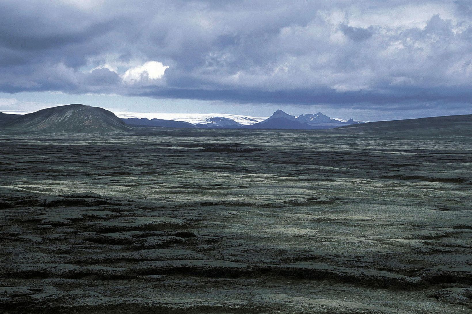 Erlendir ferðamenn óskuðu eftir aðstoð lögreglu þegar maðurinn skilaði sér …