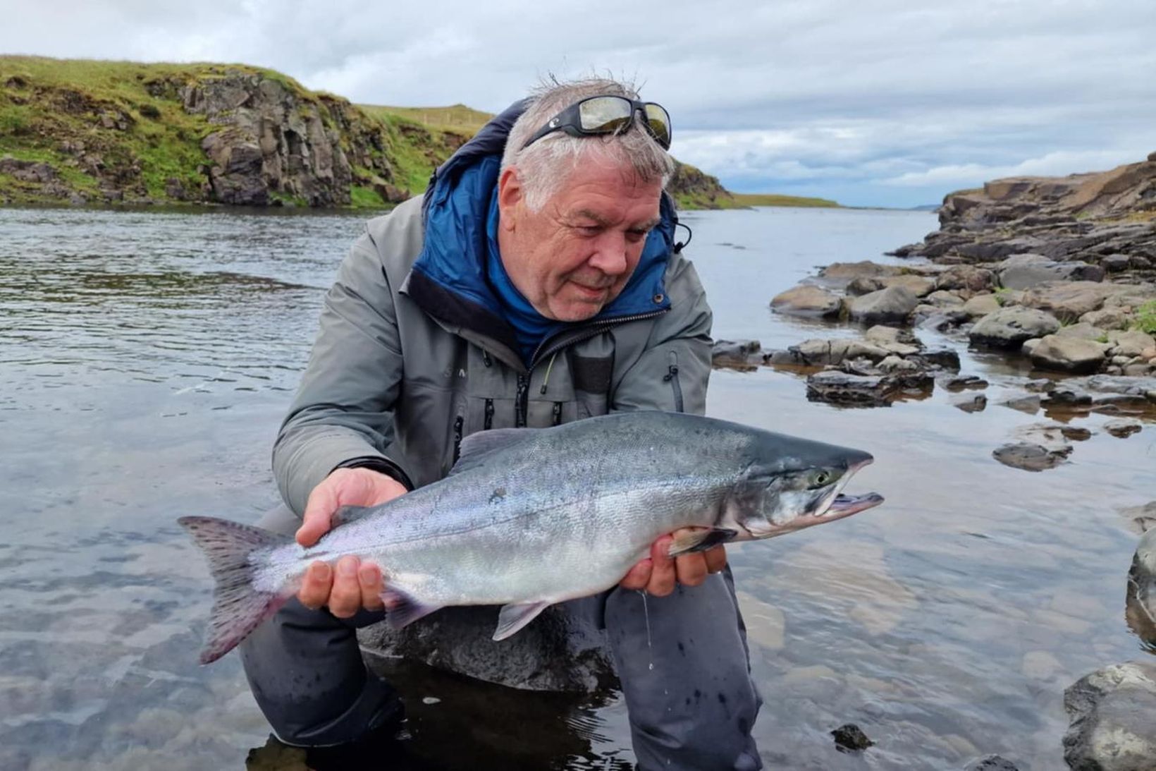 Fyrsti hnúðlaxinn veiddist í morgun í Laxá í Dölum. Ekki …