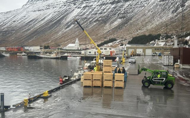 Í síðustu viku var landað 131 tonni á Suðureyri.