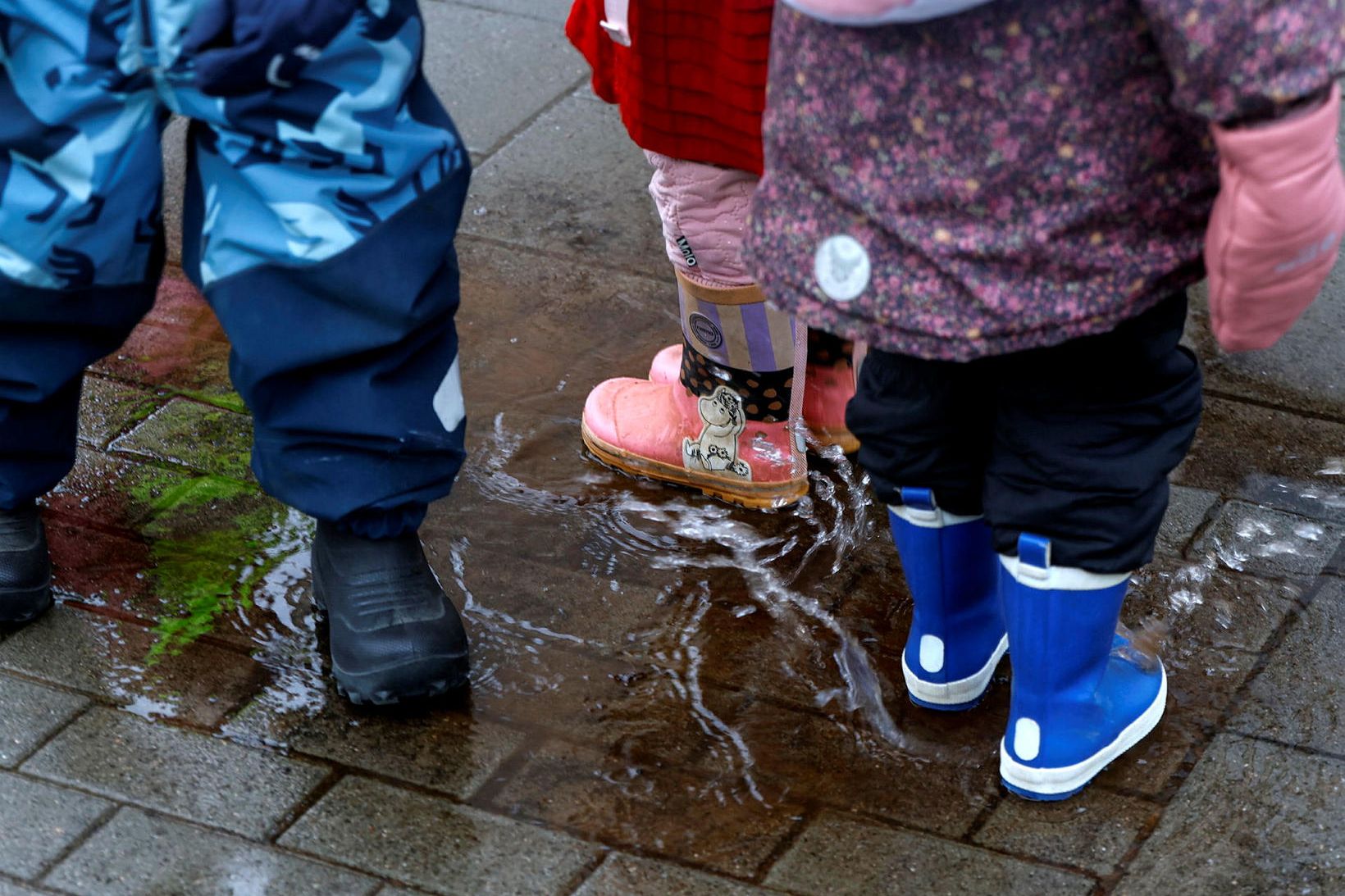 Klifraði yfir girðingu og gekk heim