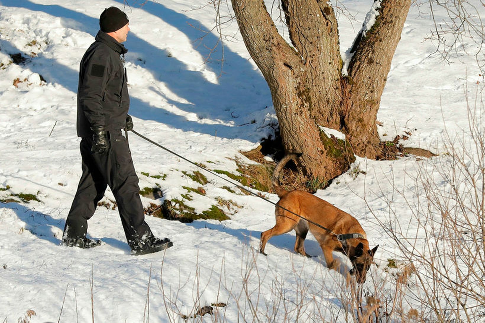 Norskur rannsóknarlögreglumaður spígsporar með hund fyrir utan heimili auðkýfingsins Tom …