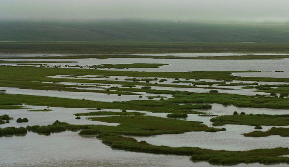 Ekki verið að standa vörð um náttúru Íslands