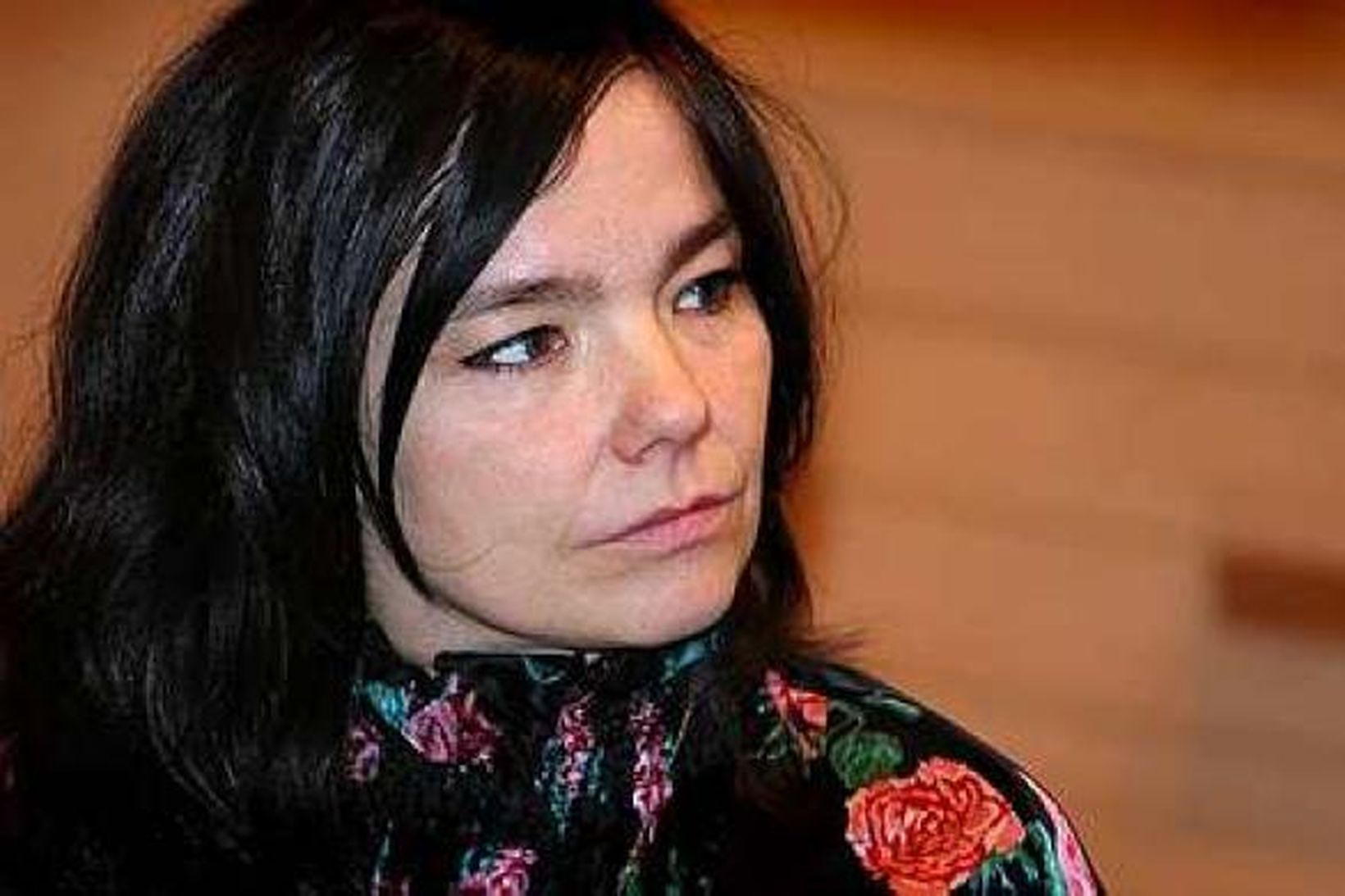 Björk Guðmundsdóttir er ásamt fiskinum og peysum það eina verðmæta …