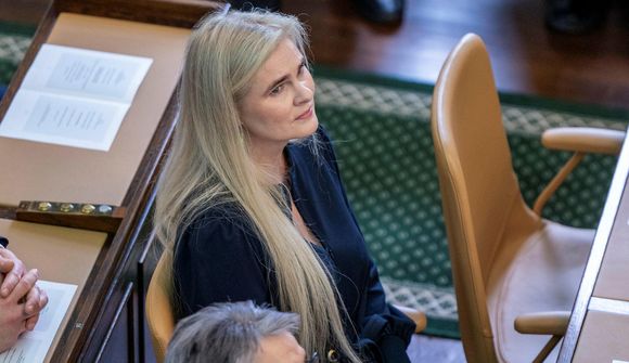 „Lýðræðisákvæði“ hættuleg afvegaleiðing
