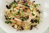 Guðdómlegt tagliatelle með hvítlauks- og parmesansósu, kjúklingi og sprettum