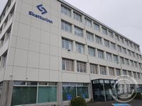 Skatturinn