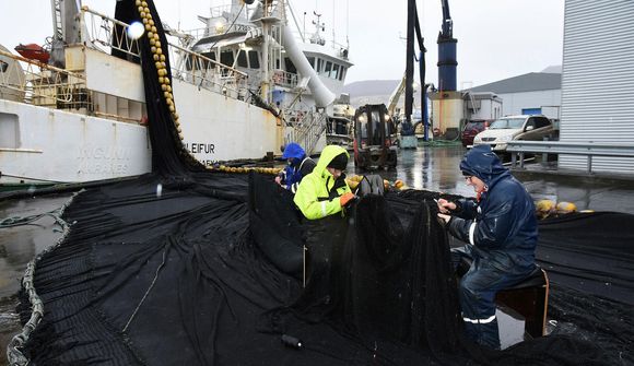 Litlar líkur á að kvótinn náist