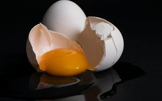 Egg skiptast í þrjá parta.