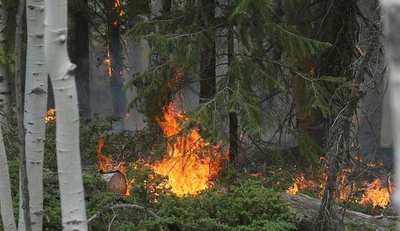 Telja hitamet hafa fallið á norðurheimskautinu