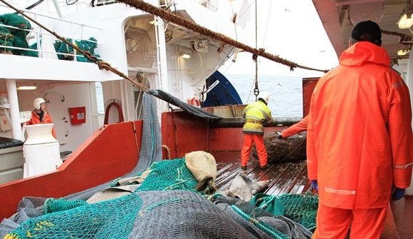 Rannsökuðu hegðun fiska við botnvörpuveiðar