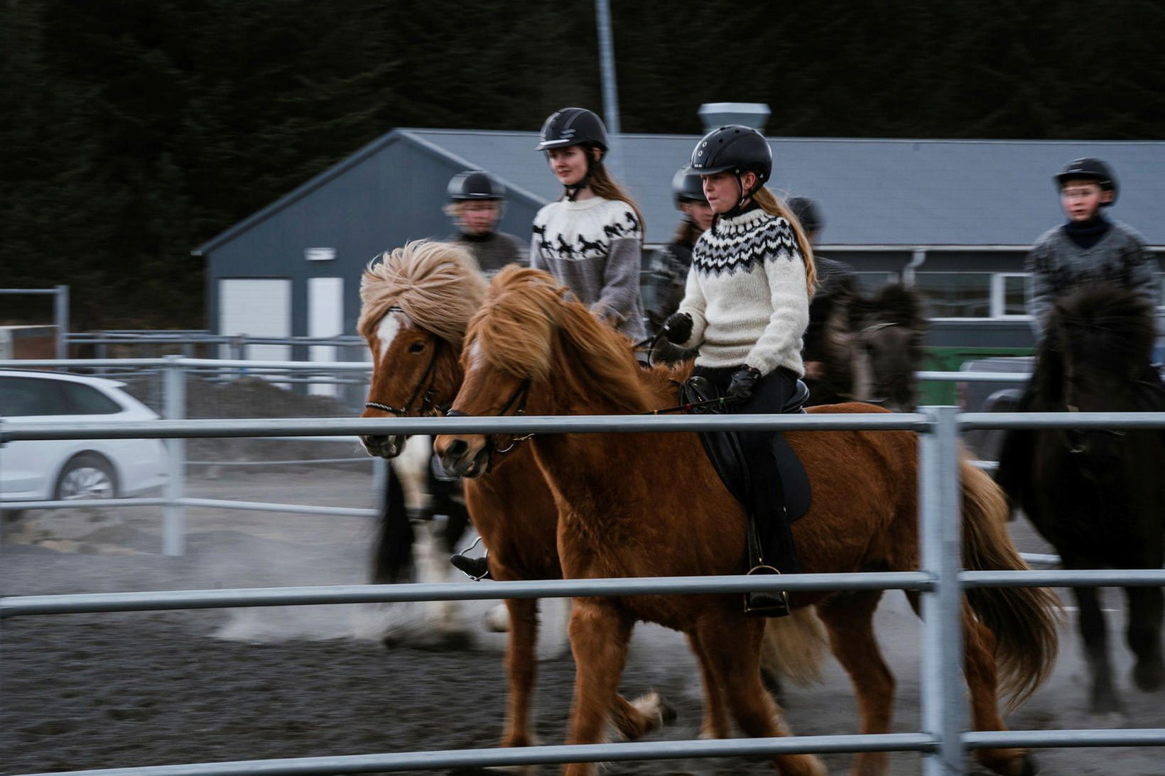 Ungir knapar á hestasýningu í Hafnarfirði