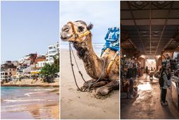 Það er margt að sjá og upplifa í Agadir.