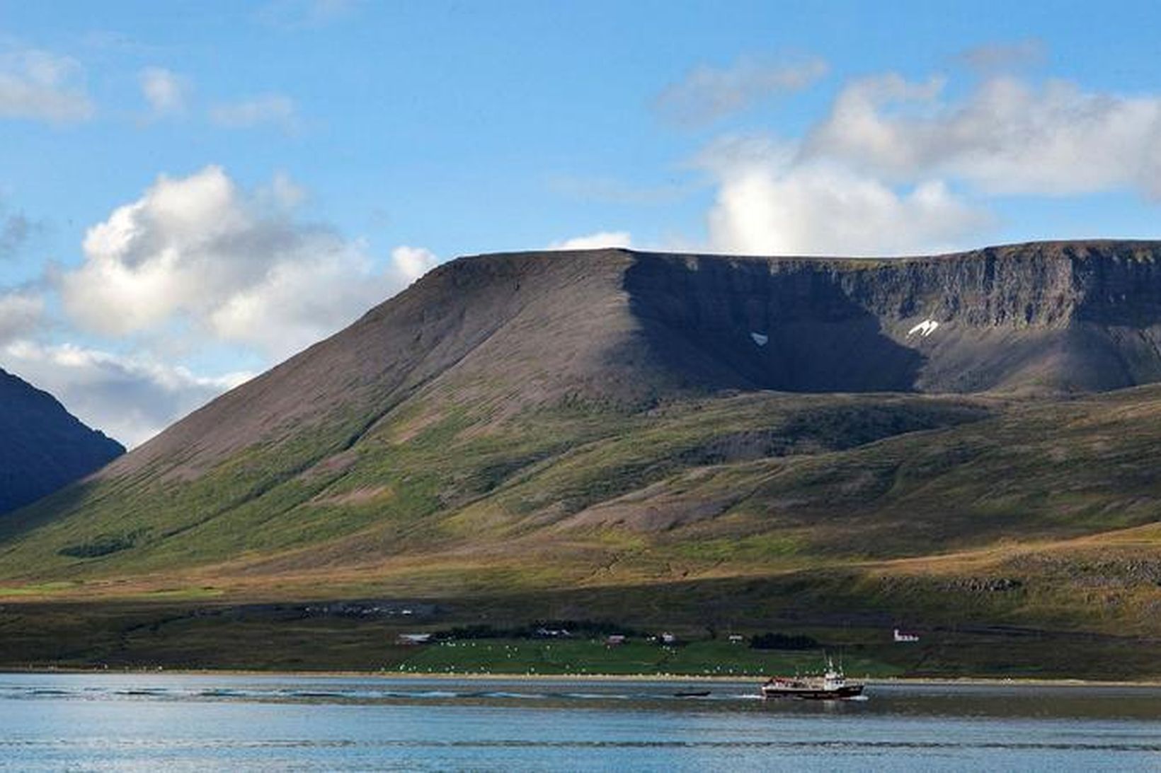 Artic Sea Farm er með umfangsmikið sjókvíaeldi í Dýrafirði. Auk …
