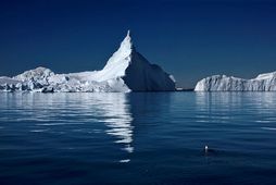 Ísjakar í Ilulissat-ísfirðinum, sem tekinn var á heimsminjaskrá UNESCO árið 2004.