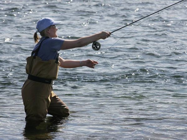 The catch so far this summer has been disappointing.