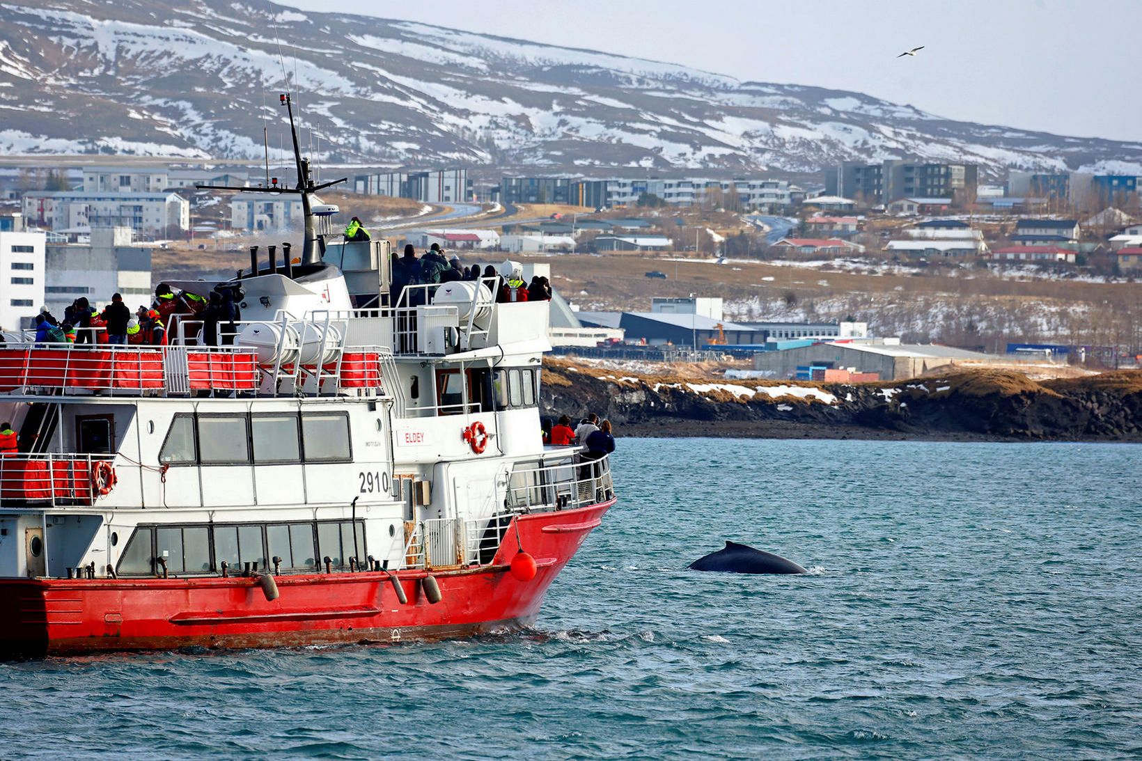 Áhugasamir ferðamenn standa þétt saman um borð í bátnum og …