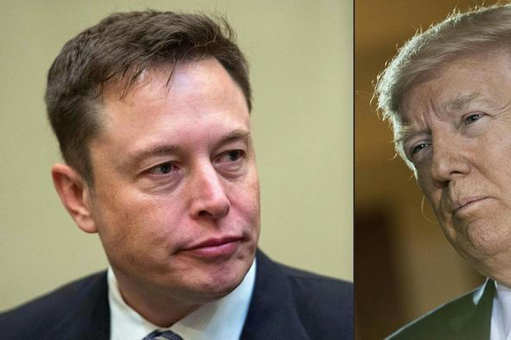 Elon Musk, ráðgjafi forseta Bandaríkjanna, og Donald Trump.