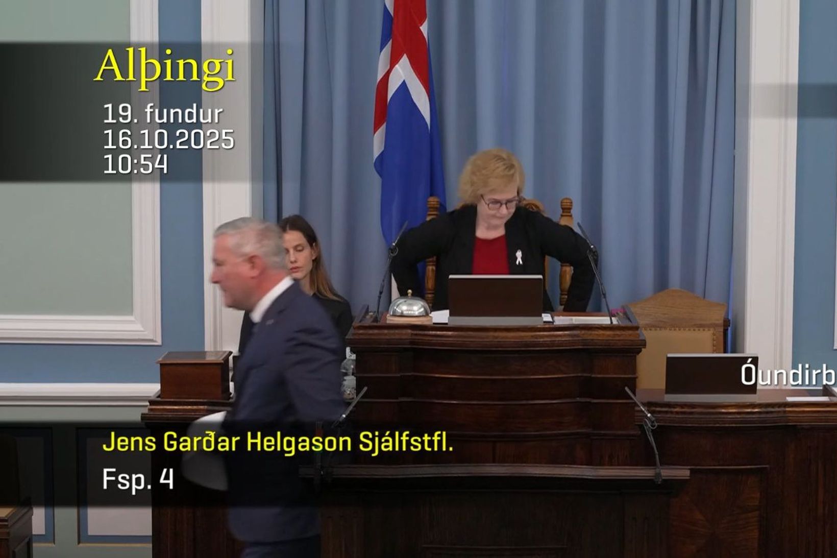 Þorgerður komst við í ræðustól