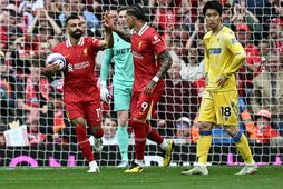 Mohamed Salah og Darwin Nunez að fagna jöfnunarmarkinu.