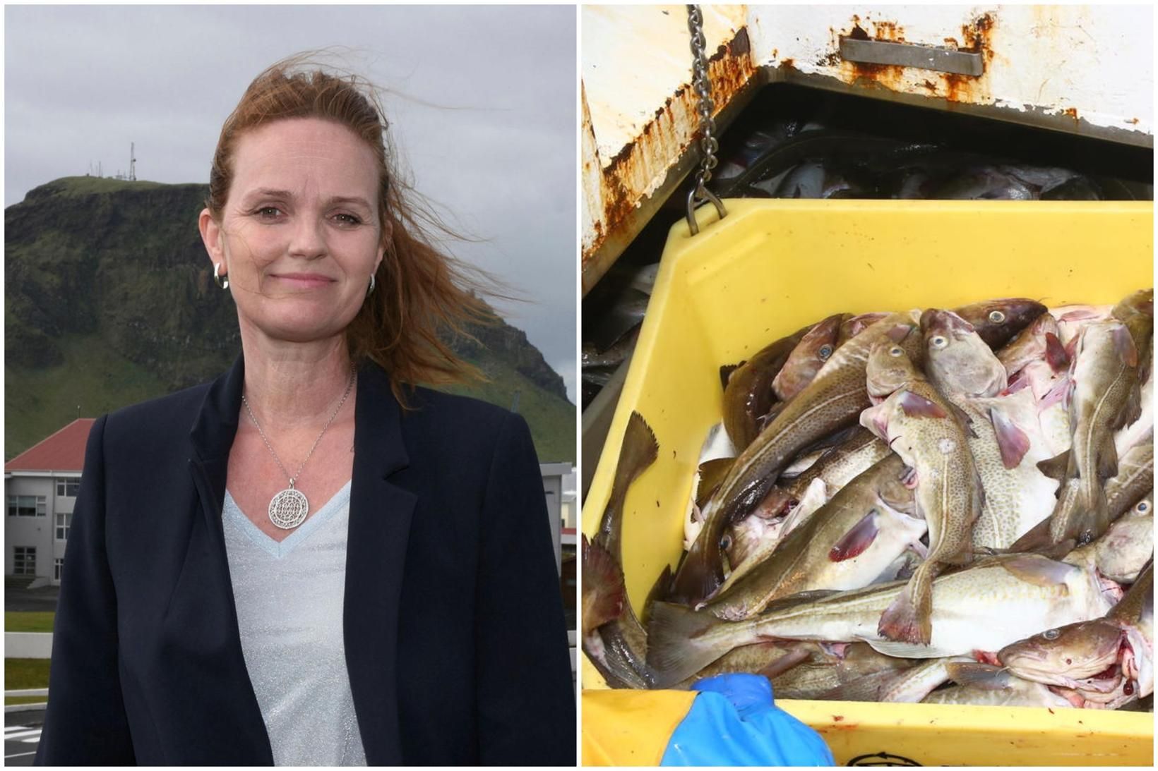 Íris Róbertsdóttir, formaður samtaka sjávarútvegssveitarfélaga og bæjarstjóri í Vestmannaeyjum.