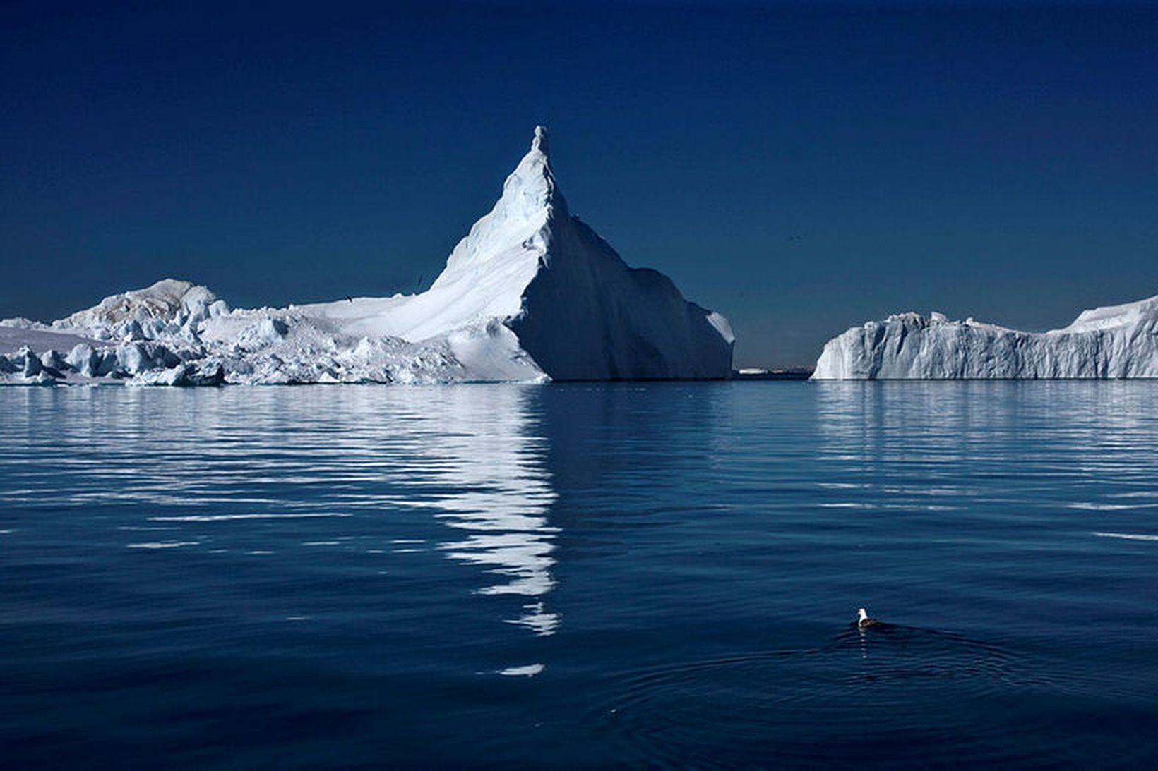 Ísjakar í Ilulissat-ísfirðinum, sem tekinn var á heimsminjaskrá UNESCO árið …