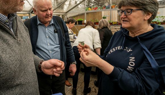 Auður borðar sumarblómin úr garðinum