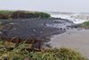 Sheep barn washed out to sea