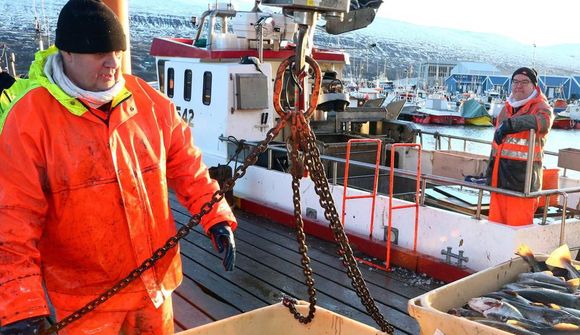 Hagnaður fimm tegunda ofmetinn