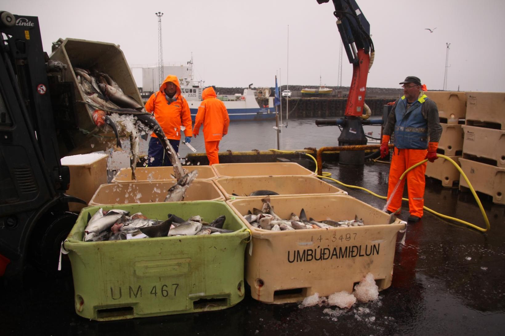 Flotinn skilaði 5% minni afla í október