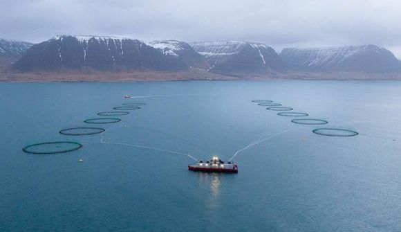 Hagnaður af rekstri Arctic Fish jókst