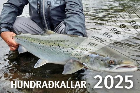 Nýtt ár og ný ævintýri. Við erum tilbúin að taka við upplýsingum.