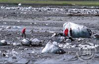 Jökulhlaup