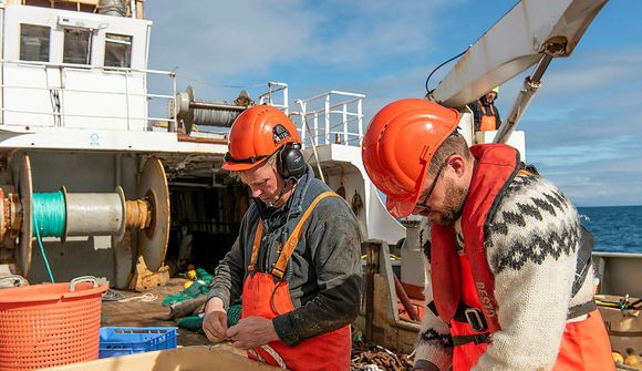 Sjötti leiðangur tileinkaður talningu humarholna