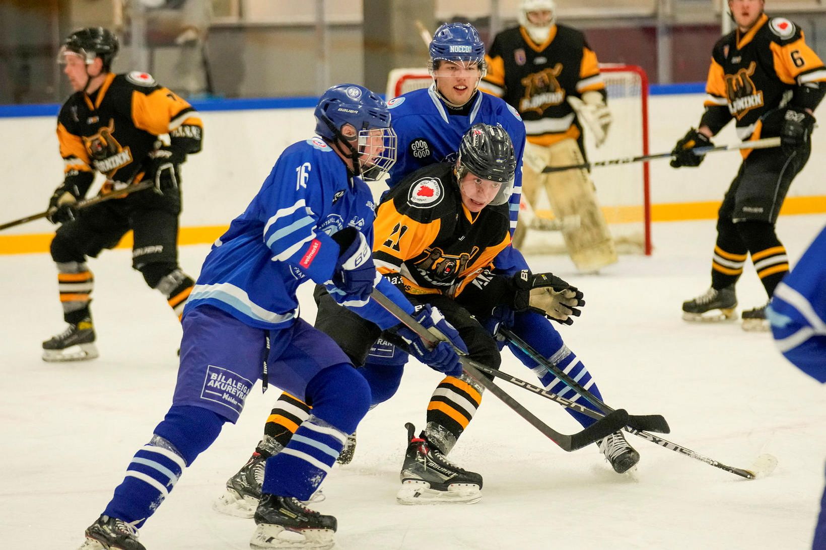 Ísland skoraði sex og er með fullt hús