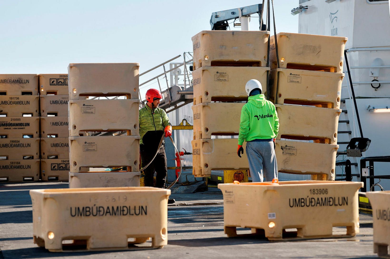 Leggja til bann við heimavigtun bolfisks