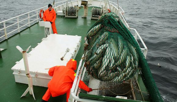 Í fínu fiskiríi á góðum slóðum