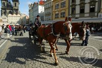 Prag