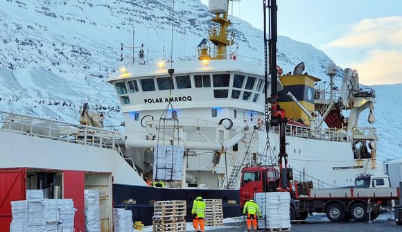 Fyrstu loðnunni í þrjú ár landað á Eskifirði