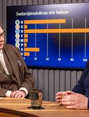 Píratar, Flokkur fólksins og VG